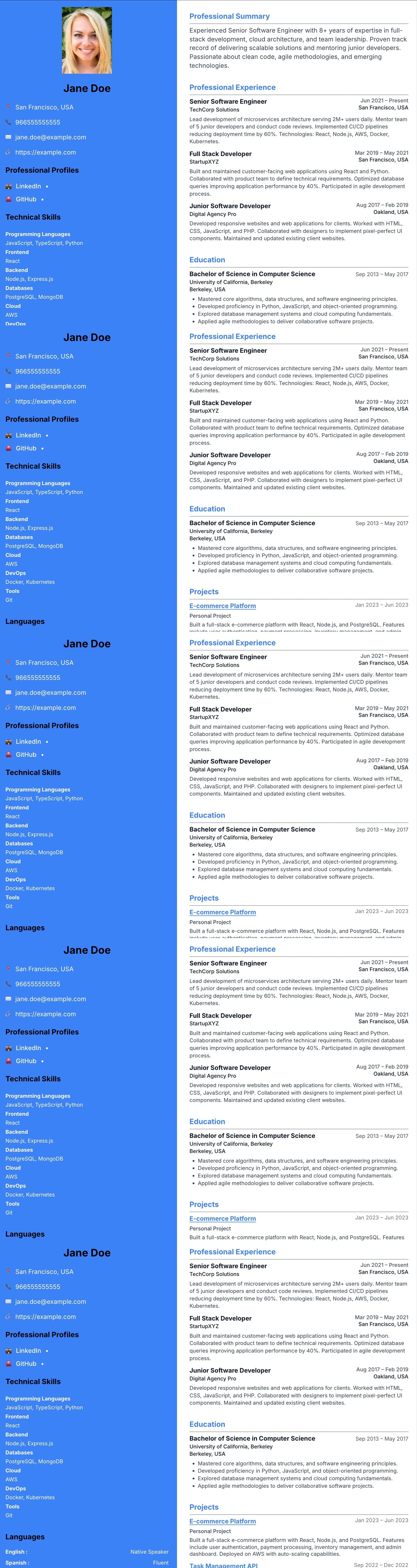 Nebula resume template preview