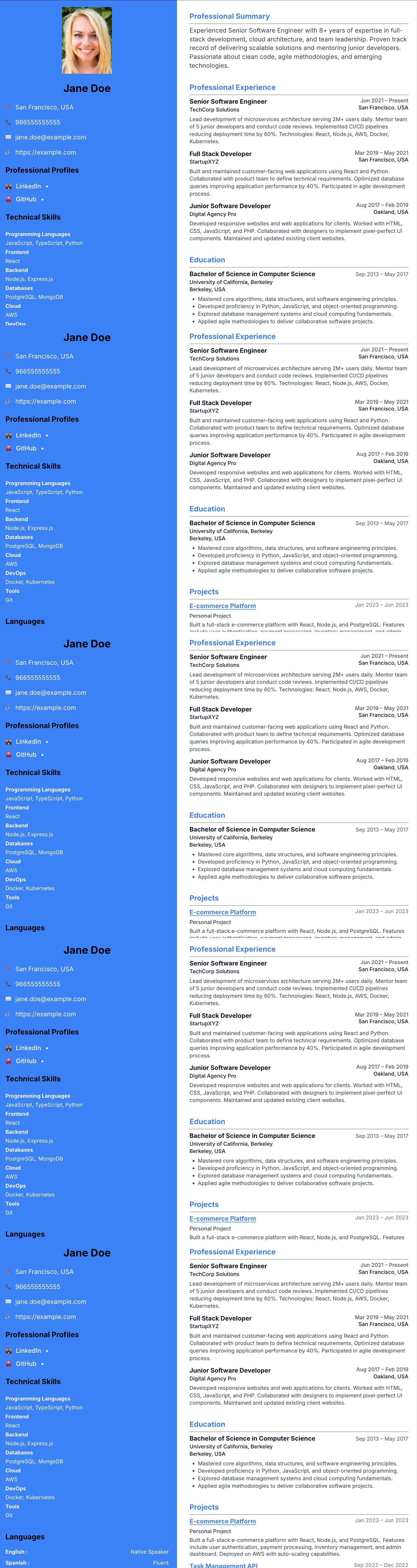 Nebula resume template preview